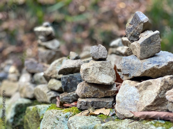 Fototapeta 積み石(大岳山)