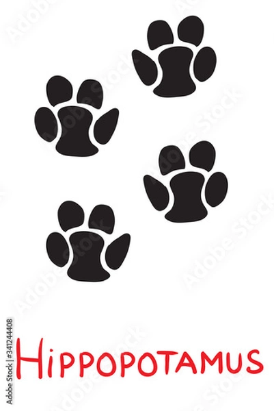 Fototapeta set of black footprints of a hippopotamus, icon, isolated object on a white background, vector illustration,