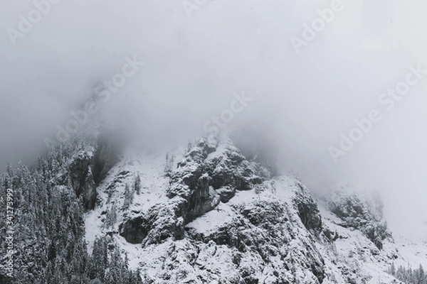 Obraz fog in the mountains