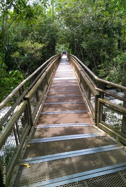 Fototapeta Beautiful path made by wood in Iguazu falls, Argentina