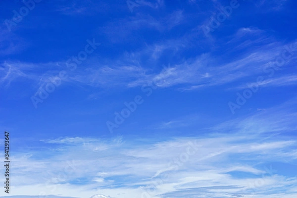 Fototapeta Cloud and blue sky in summer background