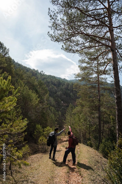 Fototapeta cascada cataluña españa
