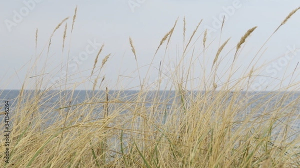 Obraz Landscape Baltic Sea