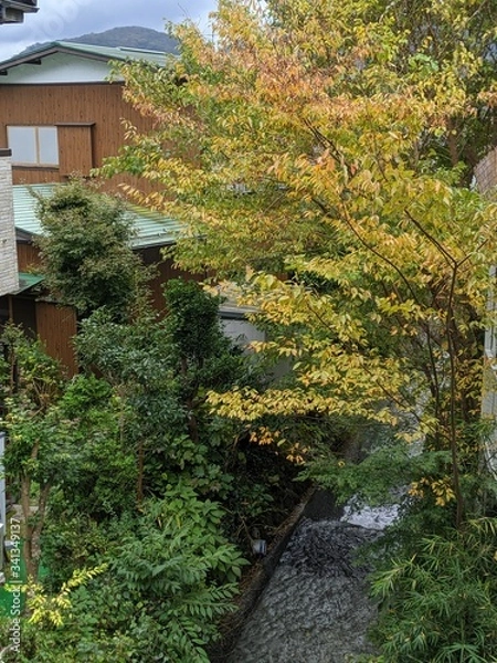 Obraz 近所にやってきた秋