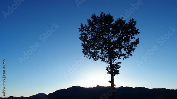 Obraz 春節の夜明け2