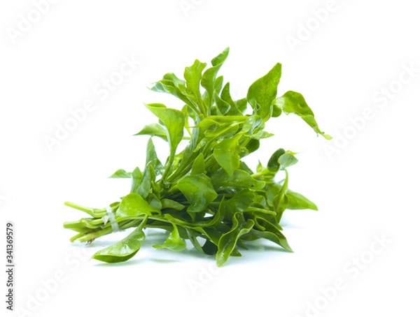 Obraz Watercress leaf isolated on white background