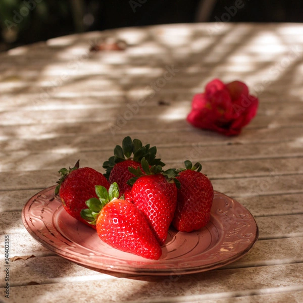 Obraz Harvest strawberry on a white wooden table in the garden close up.