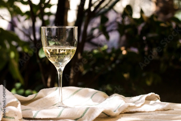 Obraz glass of white Italian wine in the garden close up 