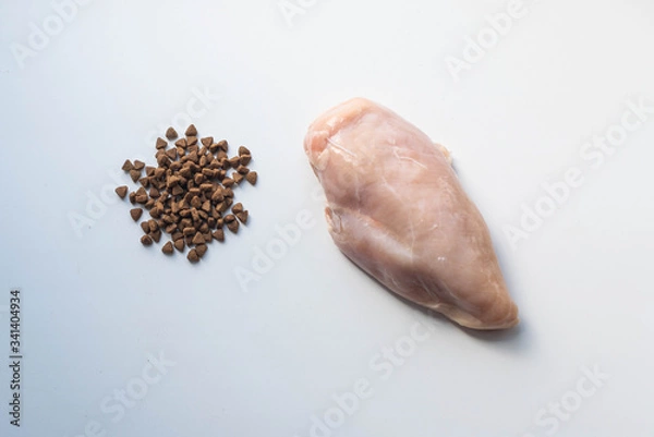 Obraz chicken breast and cat food