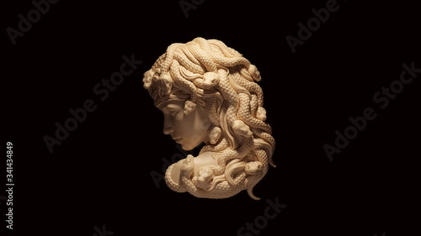 Obraz Medusa White Cream Bone Color 3d illustration 3d render
