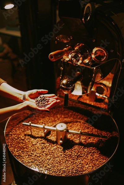 Obraz Coffee roasting process, Special coffee roasting in every degree
