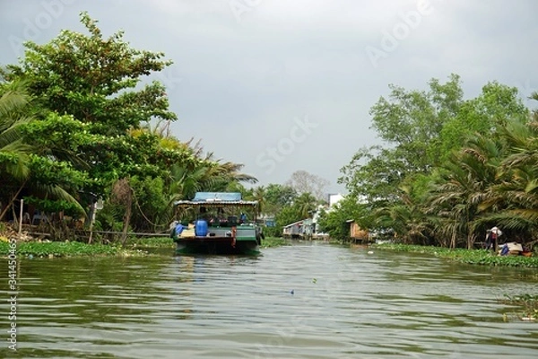 Fototapeta rural landscape at song hau river in vietnam