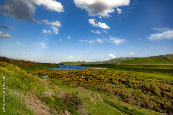 Fototapeta lake and green trees with grass