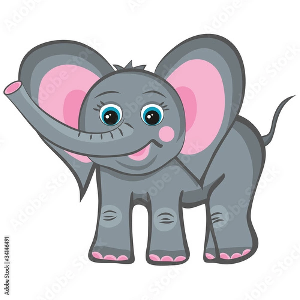 Obraz elephant