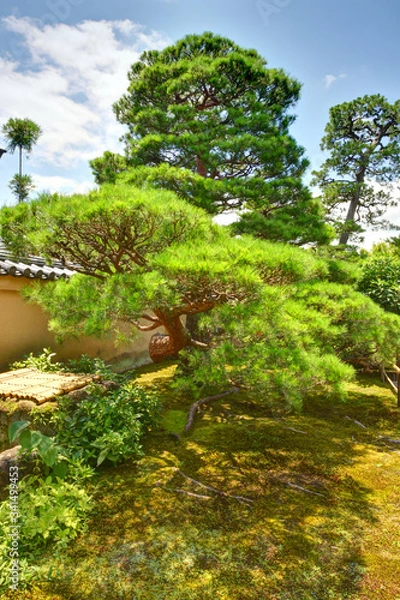 Fototapeta 龍源院