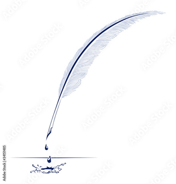 Obraz ink pen feather