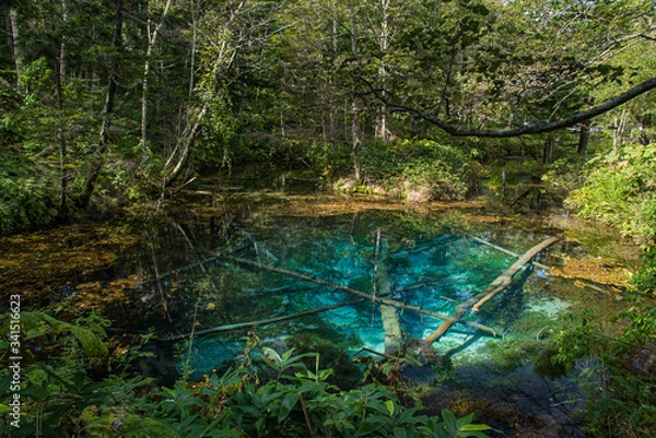 Obraz 北海道清里町の神の子池