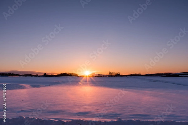 Obraz 北海道の雪原の朝日
