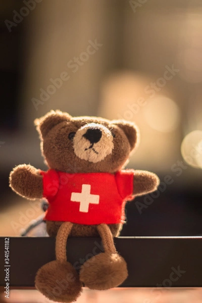 Obraz Swiss Teddy Bear