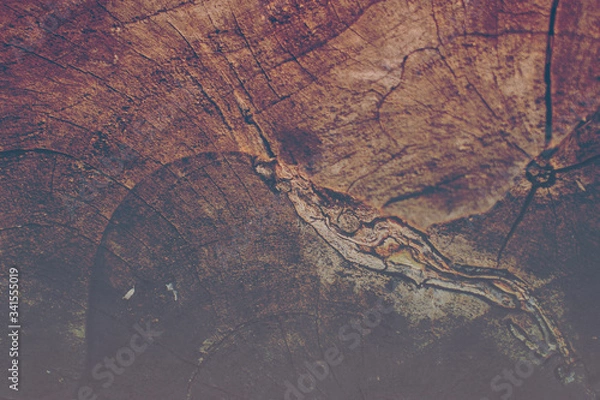 Obraz wood floor abstract texture background