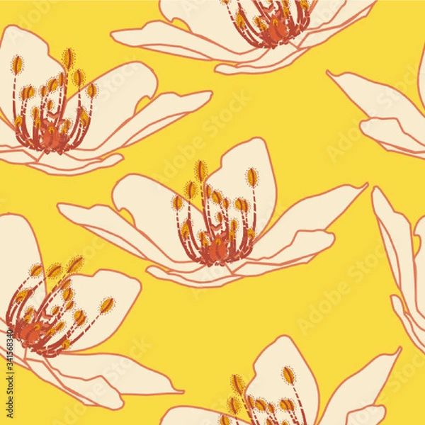 Obraz Anemone nemorosa, the wood anemone repeat pattern