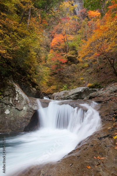 Fototapeta 紅葉の西沢渓谷