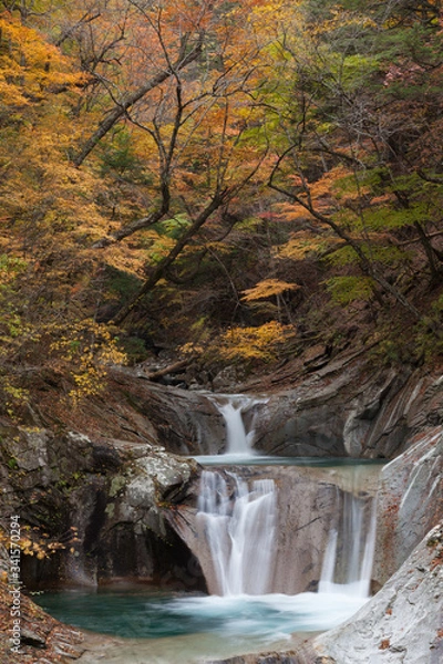 Fototapeta 紅葉の西沢渓谷