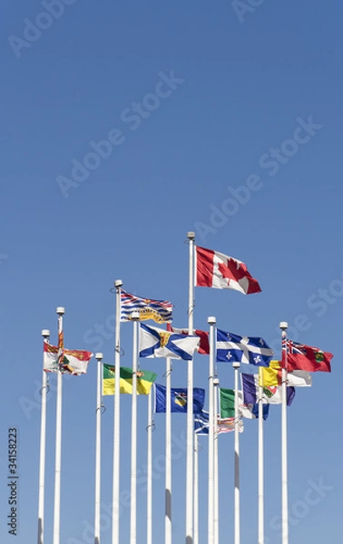 Obraz Flags flying in the Wind