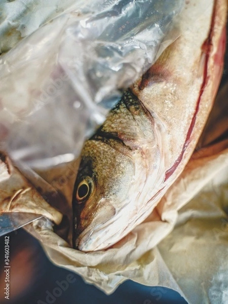 Fototapeta fish on ice