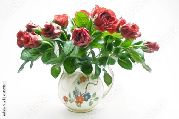 Fototapeta rosenstrauss