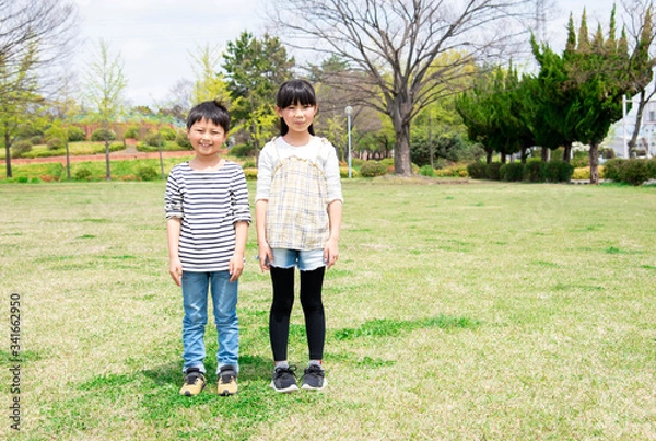 Fototapeta 緑の多い公園で笑顔の姉弟