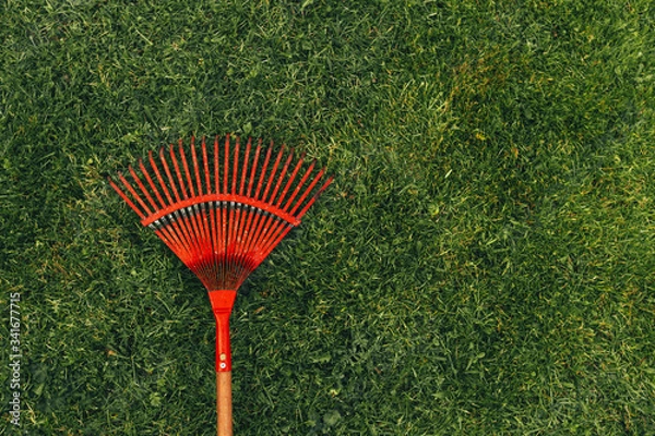 Obraz Red rake on a green lawn.
