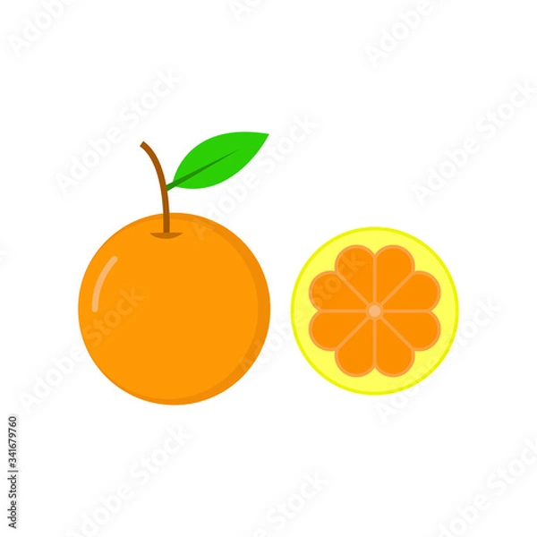 Fototapeta Orange fruit slice illustration