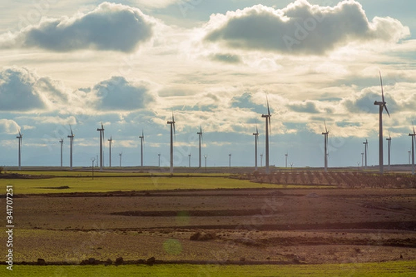 Obraz Parque Eólico