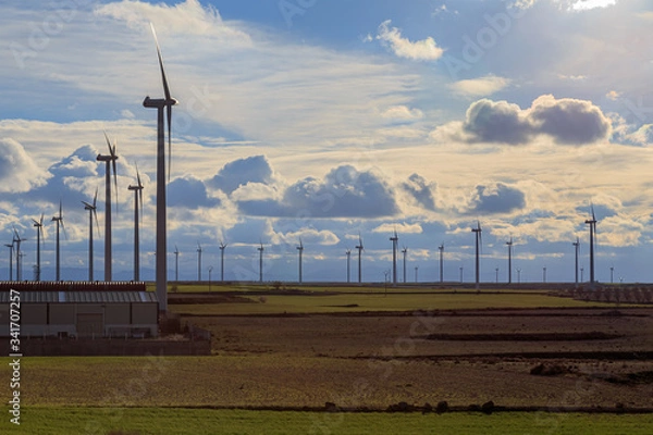 Obraz Parque eólico