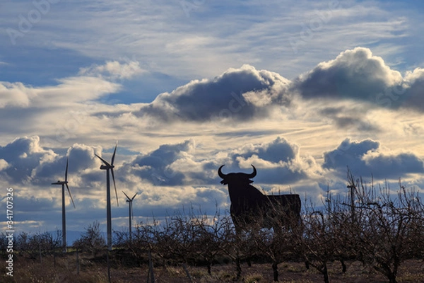 Obraz Toro y mlinos