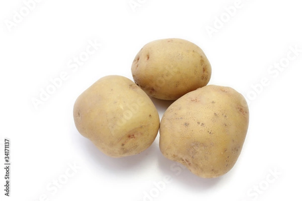Obraz じゃがいも　男爵