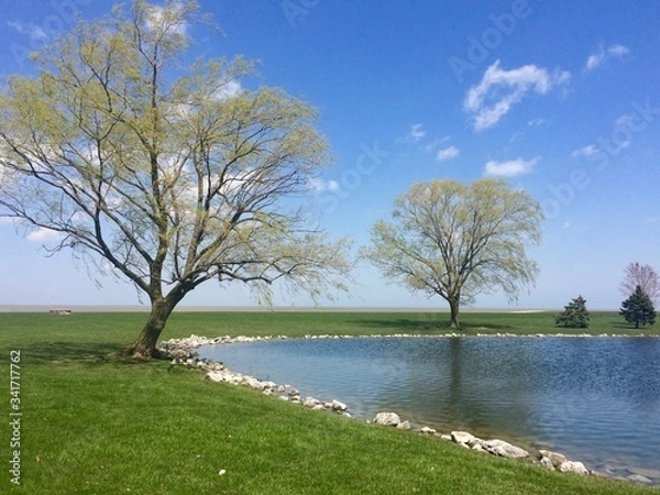 Obraz spring landscape with trees and lake