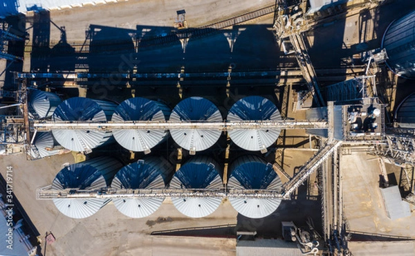 Fototapeta Aerial view of silos, storage tanks for rapeseed. Modern farm in agricultural landscape. Agriculture and environment in Russia.