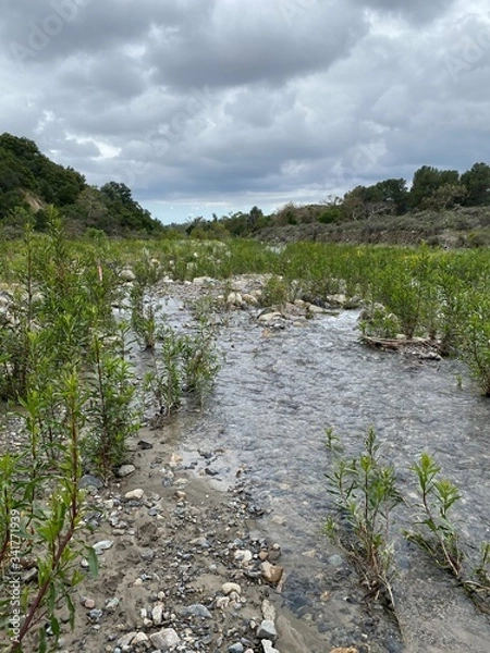 Obraz Stream on Cloudy Day