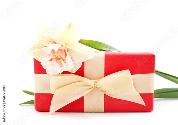 Obraz Pink beautiful daffodil with a gift.