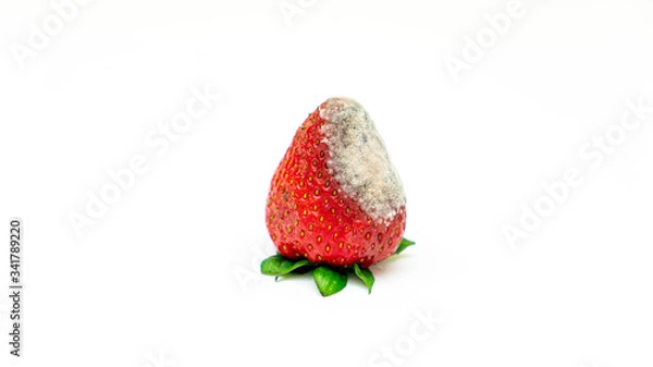 Obraz strawberry with mold on white background