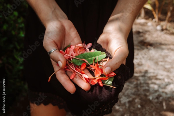 Obraz Flours in hand