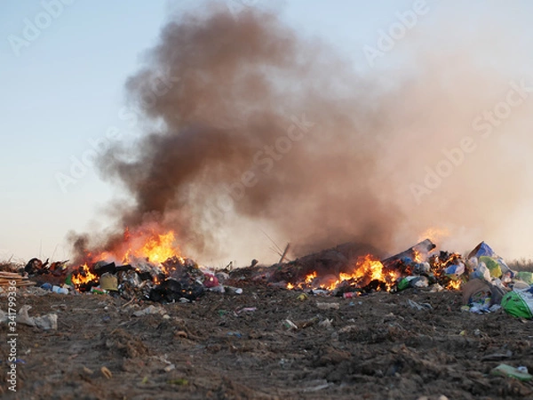Fototapeta fire close up. burning garbage. concern for the environment. environmental pollution.