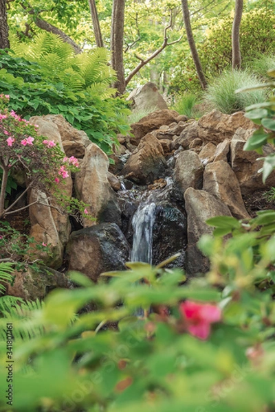 Obraz stream in the forest