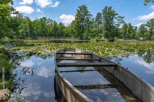 Obraz boat on the lake