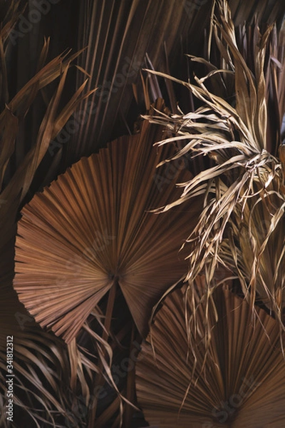 Obraz palm branches in the decor for house