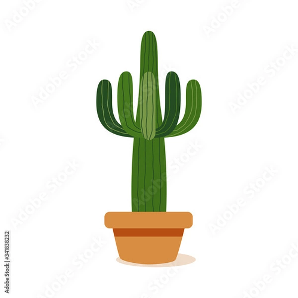 Obraz Isolated cactus icon