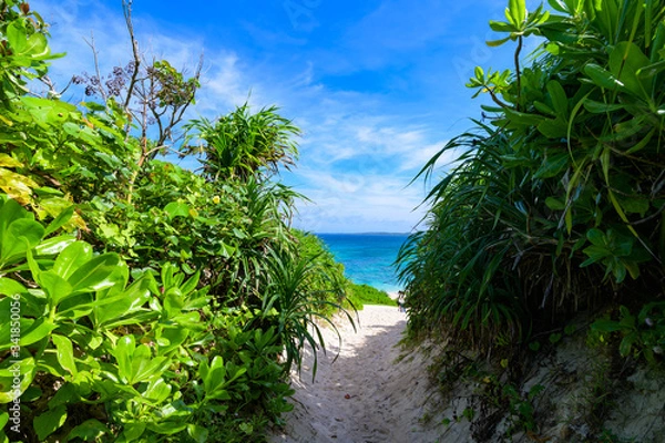 Obraz 沖縄県 宮古島 砂山ビーチ