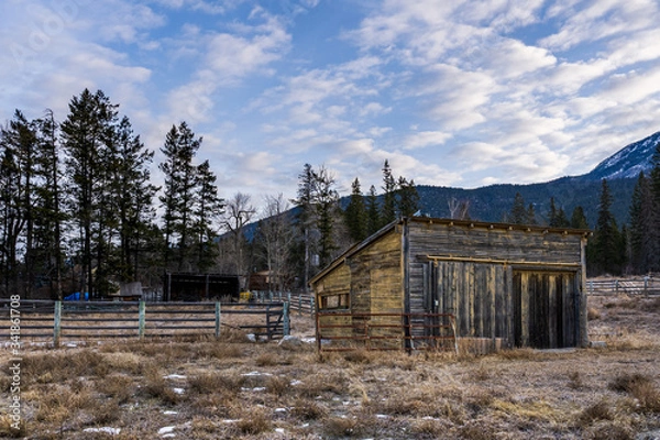 Fototapeta Abandoned weathered barn, surrounded by field and a forest near rocky mountains British Columbia Canada.